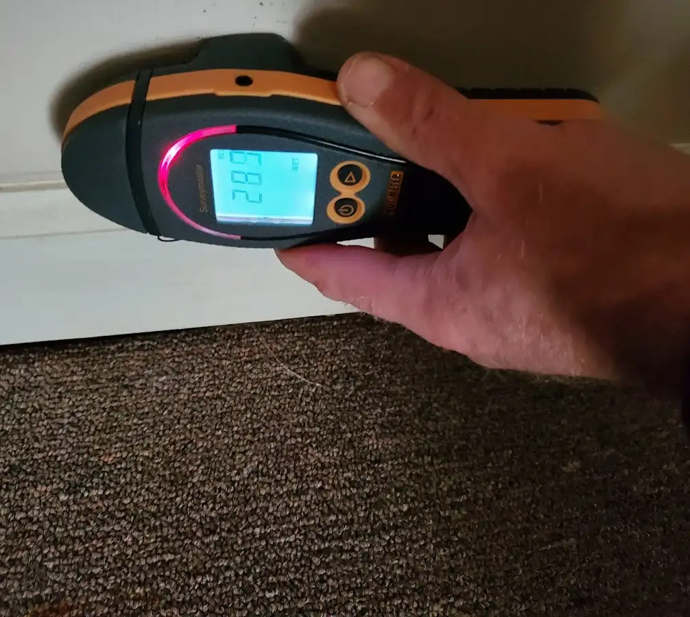 Moisture detection at baseboard during Mold Inspection & Testing in Salisbury